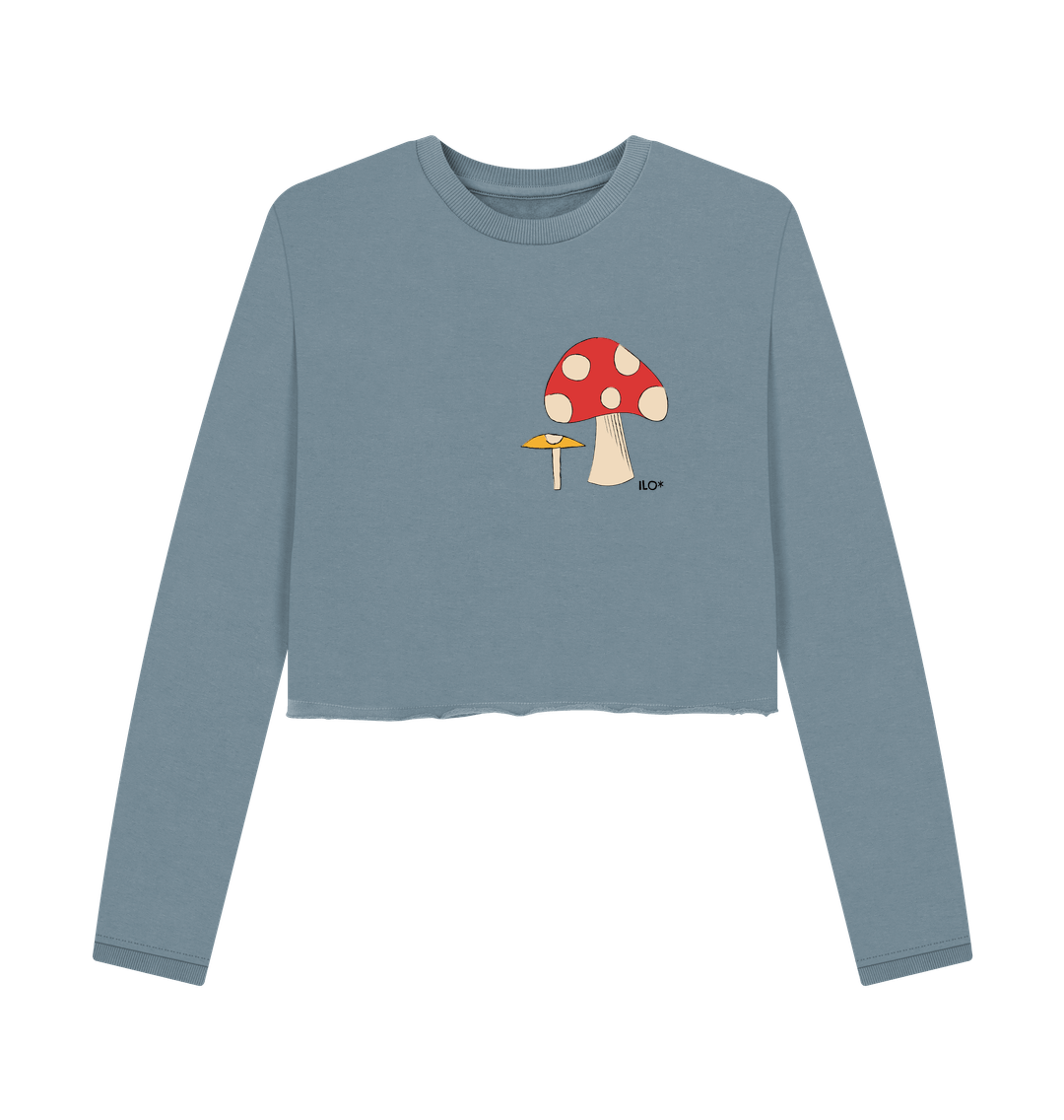 Stone Blue Toadstools Printed Boxy Jumper