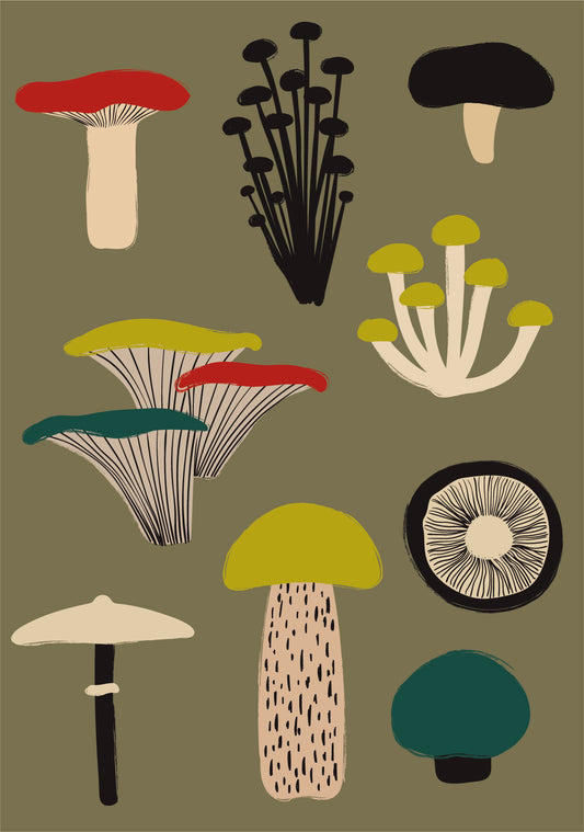 Clipart style cartoon illustration design greeting card featuring a fungus or mushroom on an olive-green background. Tags for this image could include fungus, mushroom, illustration, and design.